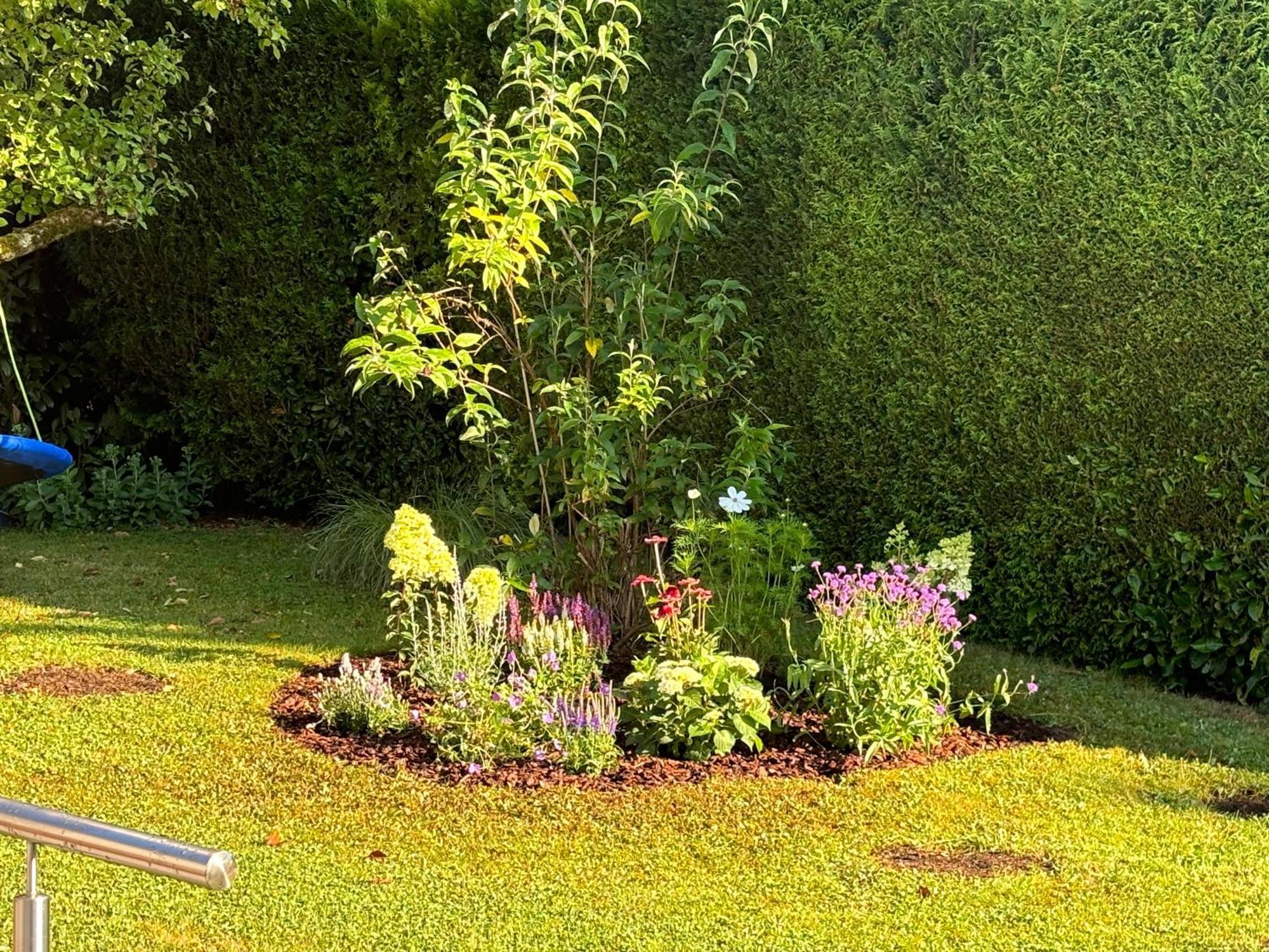 Ferienwohnung Bliestalglueck Oberthal Buitenkant foto